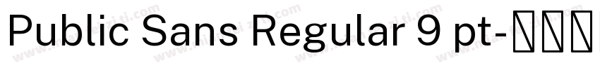 Public Sans Regular 9 pt字体转换